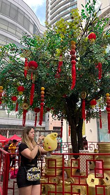 Baum geschmückt mit chinesischen Ballons