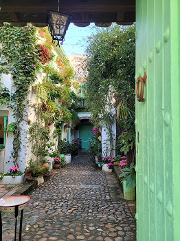 Innenhof mit Pflanzenschmuck in Córdoba