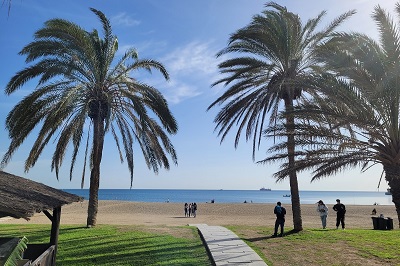 Steg zum Strand zwischen Palmen