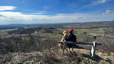 Frau und Hund sitzen auf einer Bank mit Ausblick ins Kamptal