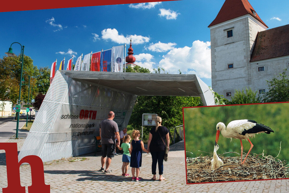 Familienfest am Muttertag: Tierisch toller Tag im Schloss Orth