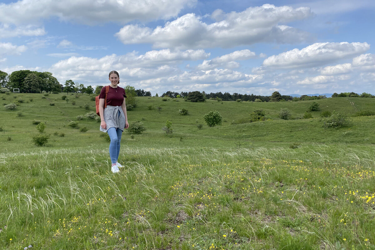 Perchtoldsdorfer Heide: Spaziererlebnis mit Blick über Wien