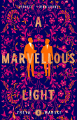 Das illustrierte Buchcover von A Marvellous Light von Freya Marske.