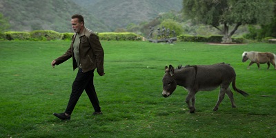 Arneld Schwarzenegger in seinem Garten mit seinem Esel und Mini-Pony