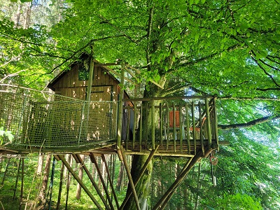 Von grünem Laub umgebenes, hölzernes Baumhaus in Niederösterreich