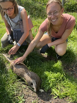 Zwei Frauen streicheln in der Wiese einen Fischotter im Tierpark Buchenberg