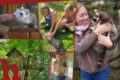 Tierpark Buchenberg in Waidhofen – mit Tieren auf Tuchfühlung