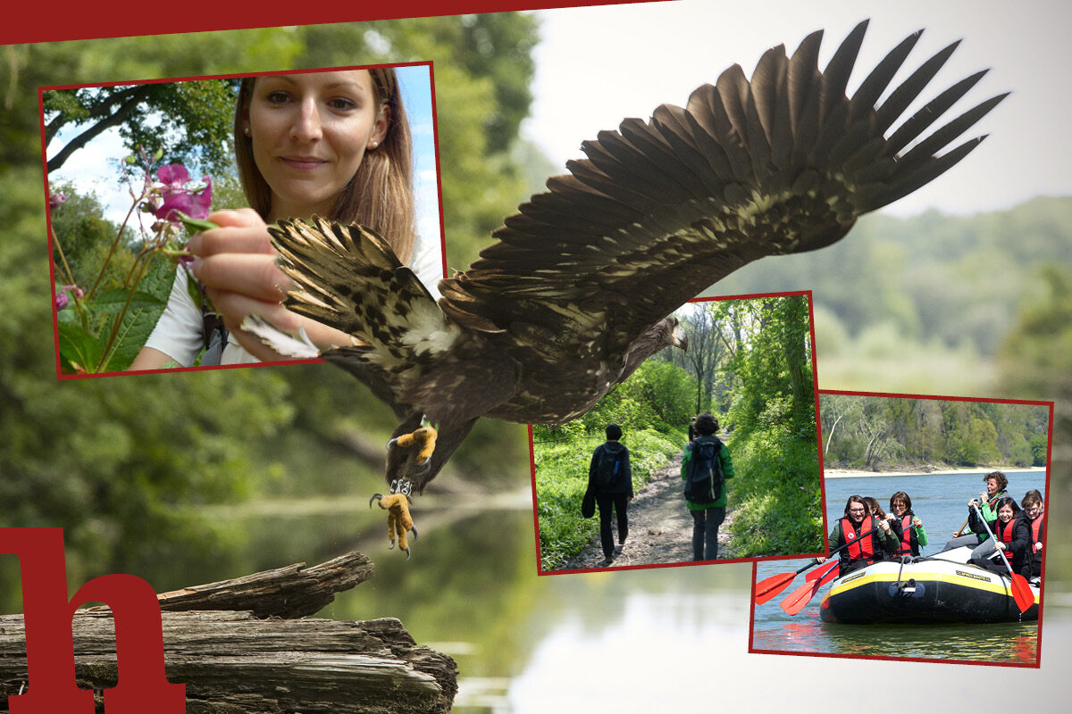 Nationalpark Donau-Auen – 12 Regeln, die du beachten musst