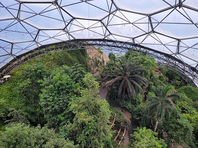 Blick von oben auf Palmen und andere Grünpflanzen unter dem Dach des Bioms