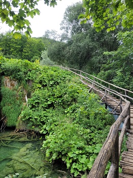 Holztreppe im Plitvica Nationalpark