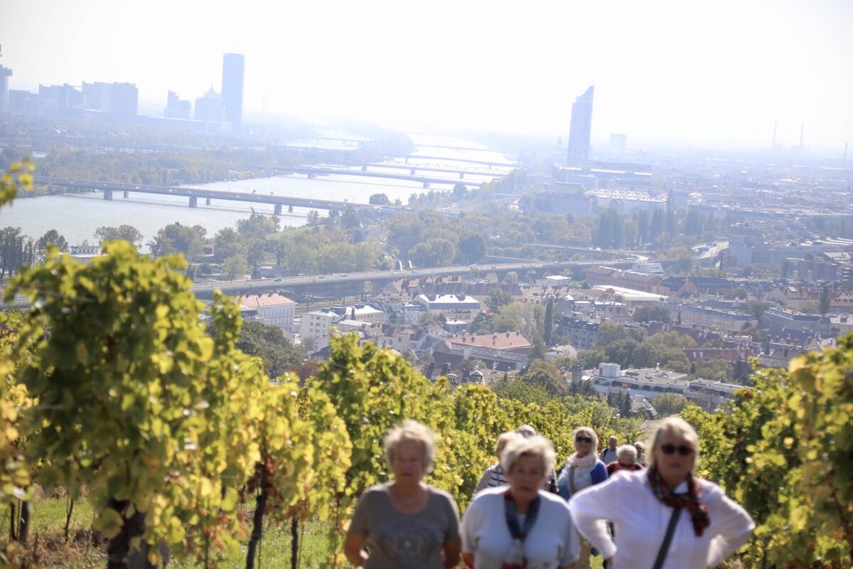 Weinwandertage in Wien – zu Fuß dem Achterl entgegen