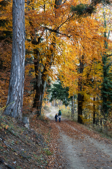 Frau mit Kind beim Wandern im Herbstwald auf der Zweier Wald Runde