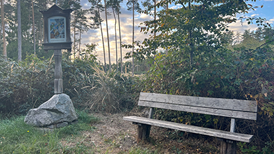 Bank am Wegesrand im Wald