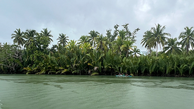 Loboc River Ufer