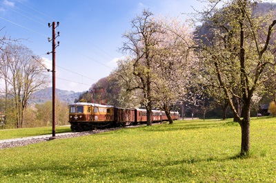 Der Ötscherbär fährt im Frühling an blühenden Bäumen vorbei