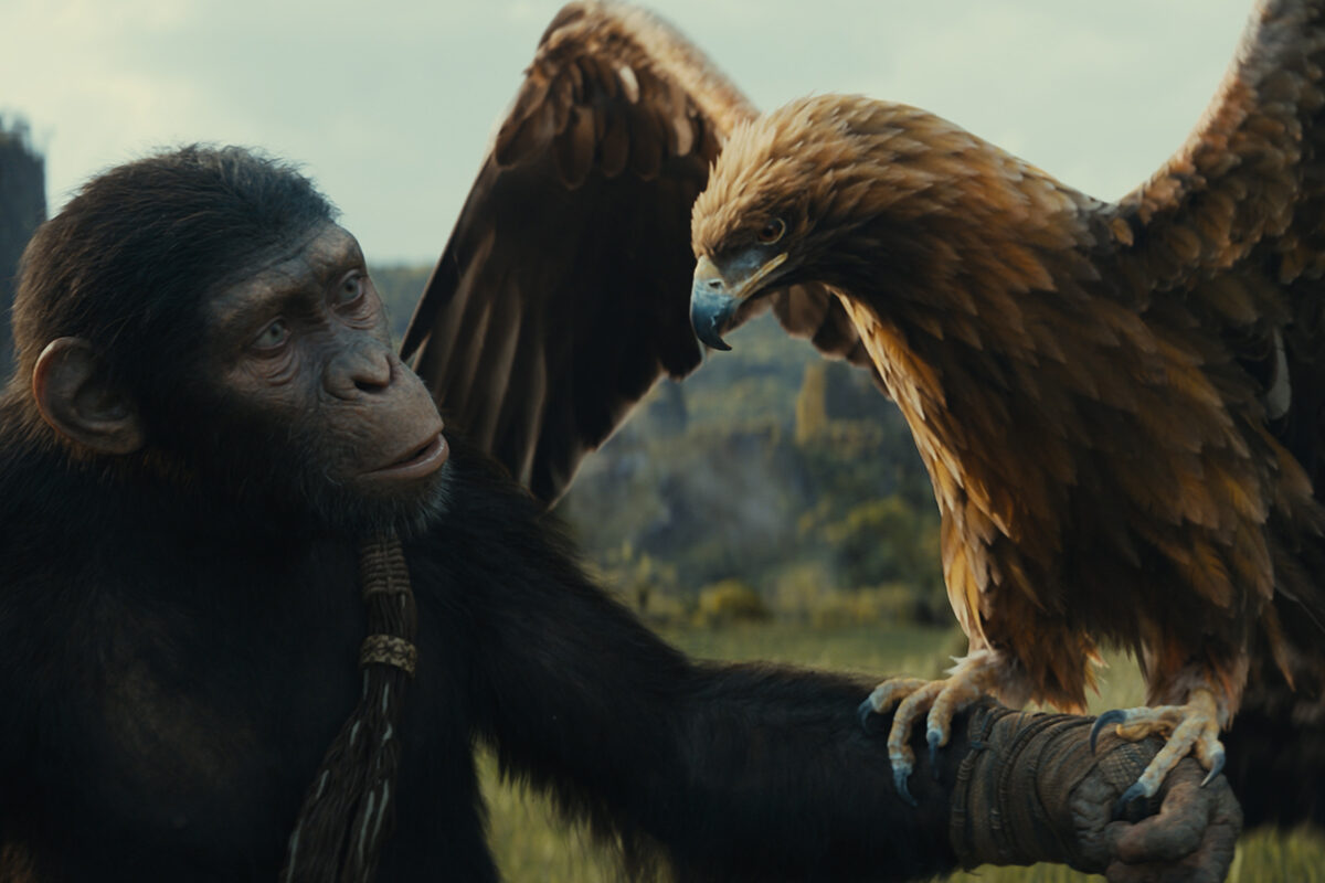 Planet der Affen: New Kingdom – Top-Auftakt einer neuen Filmreihe