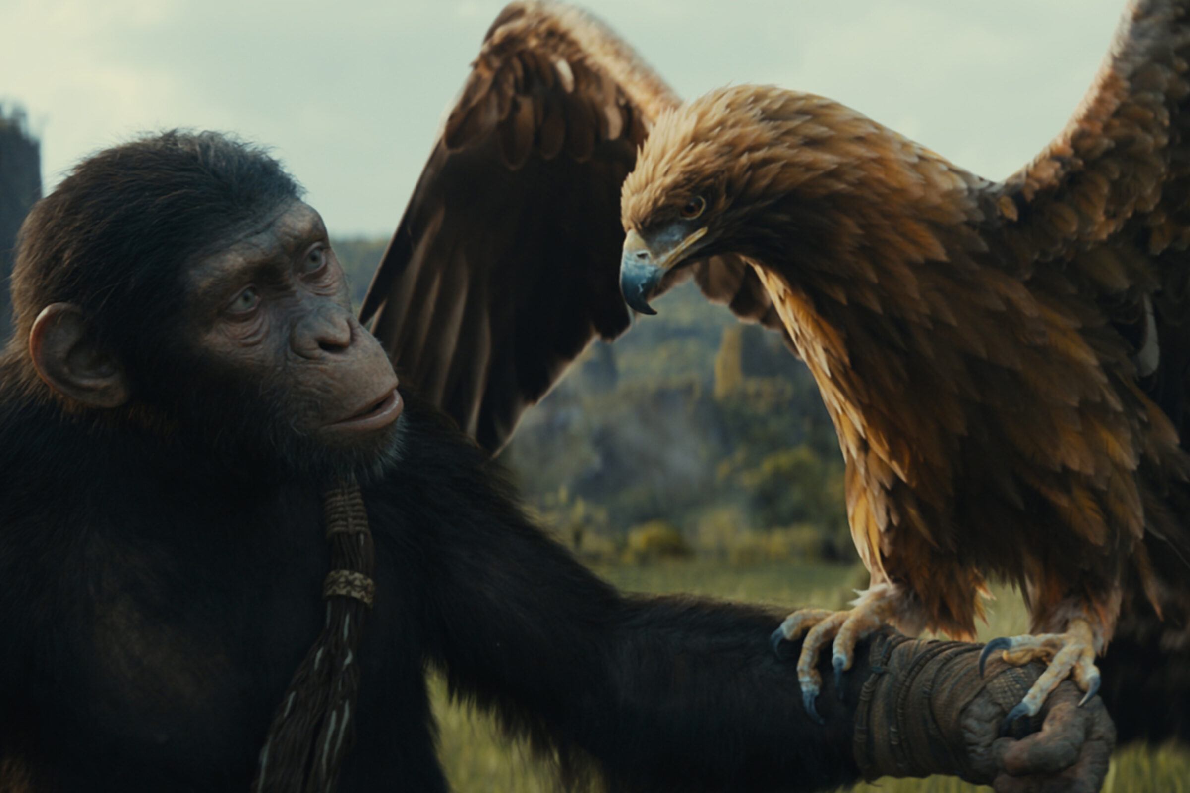 der Affen New Kingdom TopAuftakt einer neuen Filmreihe