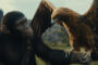 Planet der Affen: New Kingdom – Top-Auftakt einer neuen Filmreihe