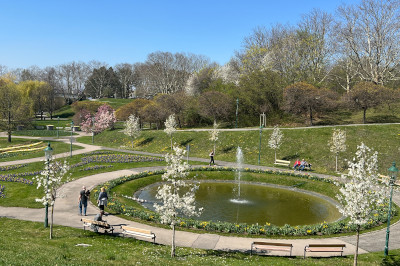 Der Kurpark Oberlaa mit Springbrunnen und Blumenbeeten
