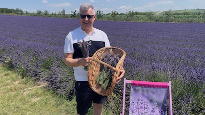 Ein Mann, in der Hand ein Büschel Lavendel, zeigt einen Korb mit Lavendel, davor ein lila Liegestuhl, dahinter ein Lavendelfeld.