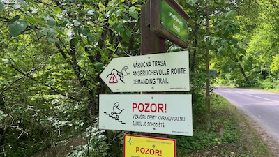 Wegweiser zu einem Waldweg mit tschechischer, deutscher und englischer Aufschrift.