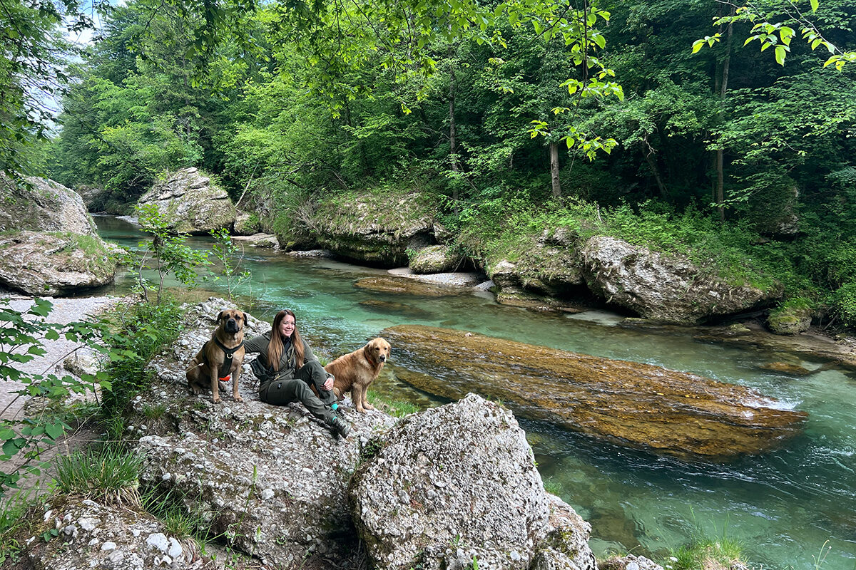 Erlaufschlucht: Wandern durchs wilde Naturjuwel im Mostviertel