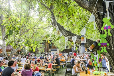 Menschen sitzen bei Heurigenbänken und genießen Bio-Kulinarik unter den Baumen im Garten des ADAMAH Bio-Hofs.