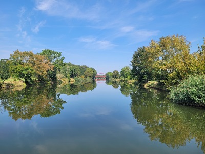 Glatte Wasseroberfläche der Saale, Bäume am Flussufer spiegeln sich darin