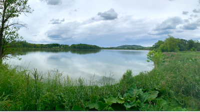 Die Bucht eines größeren Teichs, ganz von Grün umgeben mit Gras und Schilf. Bewölkter, blauer Himmel.
