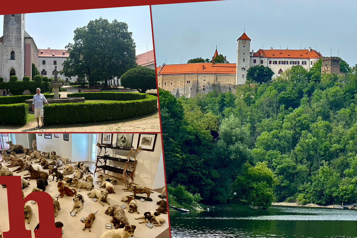 Vranov-Stausee: Nordische Ruhe und exzentrische Burg 