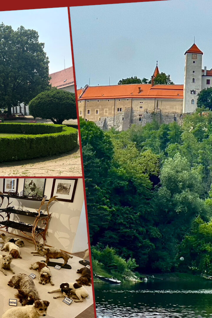 Vranov-Stausee: Nordische Ruhe und exzentrische Burg 