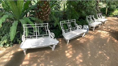 Weiße, kunstvoll geschmiedete Bänke in einer Reihe entlang eines Weges in einem Palmenhaus.