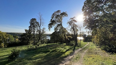 Ein ausgetretener Pfad über eine Wiese auf der vereinzelt hohe Böume stehen. Im Hintergrund der Streifen es Sees, strahlend blauer Himmel, Sonnenlicht