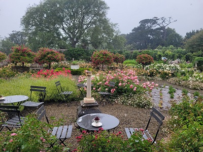 Gastgarten bei Regen in Jersey