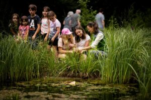 Familientag auf der Schlossinsel: Tiere und Auerlebnis vor Wien