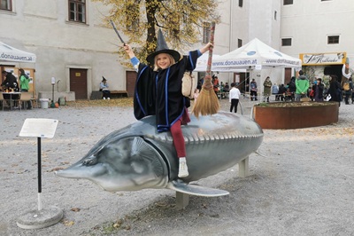 Als Hexe verkleidetes Kind sitzt auf einem Fischmodell am Hof beim Halloweenfest im Schloss Orth