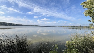 Eine große, ganz von grünen Ufern umgebene Wasserfläche eines Teichs, davor etwas Schilf und Gräser.
