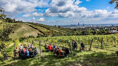 Wanderer sitzen Am Himmel auf Holztischen und genießen zwischen Weinreben den Blick auf Wien hinunter