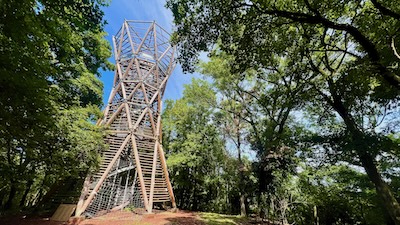 Eine Aussichtswarte inmitten von Bäumen.