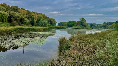 Blick auf eine auartige Sumpflandschaft im Nationalpark des Kleinen Plattensee mit einem Wasserarm, an allen Ufern Schilf und Bäume.