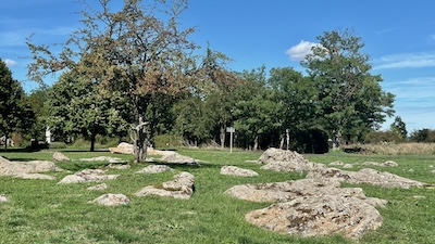 Steinmeer von Salföld: Große Sandsteinfelsen, etwas aus der Erde herausragend, auf einer Wiese verstreut.
