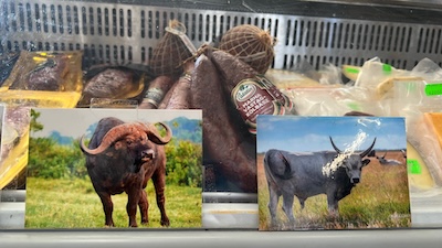Eine Wursttheke in Ungarn mit Büffel- und Graurinderwürsten und Fotos dieser Tiere.