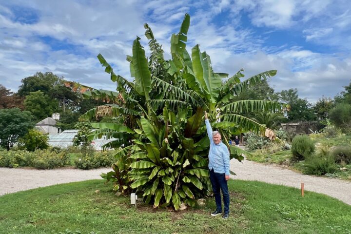Hévíz und West-Balaton: Weltgrößter Thermalsee und tropisches Flair 