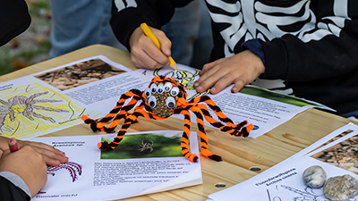 Schwarz orange Spinne aus Pfeifenreinigern rundherum Kinderhände und Papier mit Bastelanleitungen auf einem Tisch
