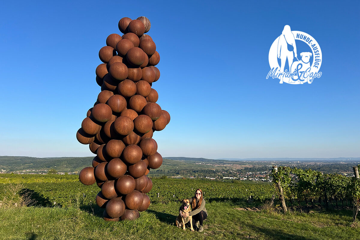Weinweg Langenlois: Panorama, Kunst & Weinreben – Miriam und Capo Teil 3