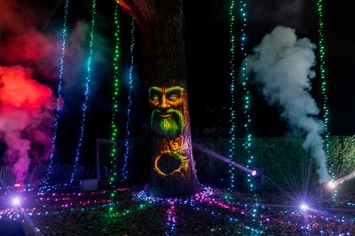 Gesicht mit Bart auf einem Baum, der von bunten Lichterketten umgeben ist. Der sprechende Baum im Illumina Lichtergarten.