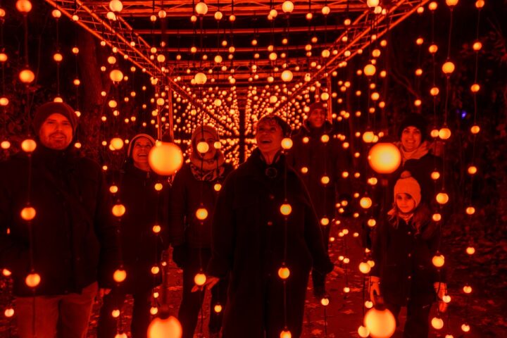 Lichtergarten Laxenburg – 8 Top-Highlights bei Illumina