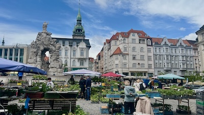 Zelny trh in Brno mit Marktsänden.