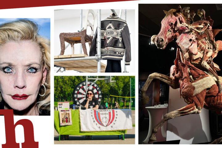 Ausstellungen in Wien: 20 Tipps für den Winter 2025/2026