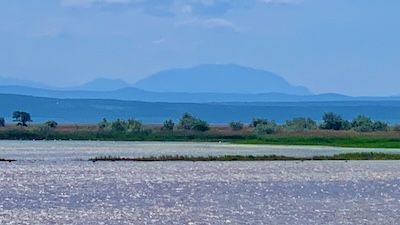 Der Neusiedler See mit dem Schneeberg im Hintergrund.